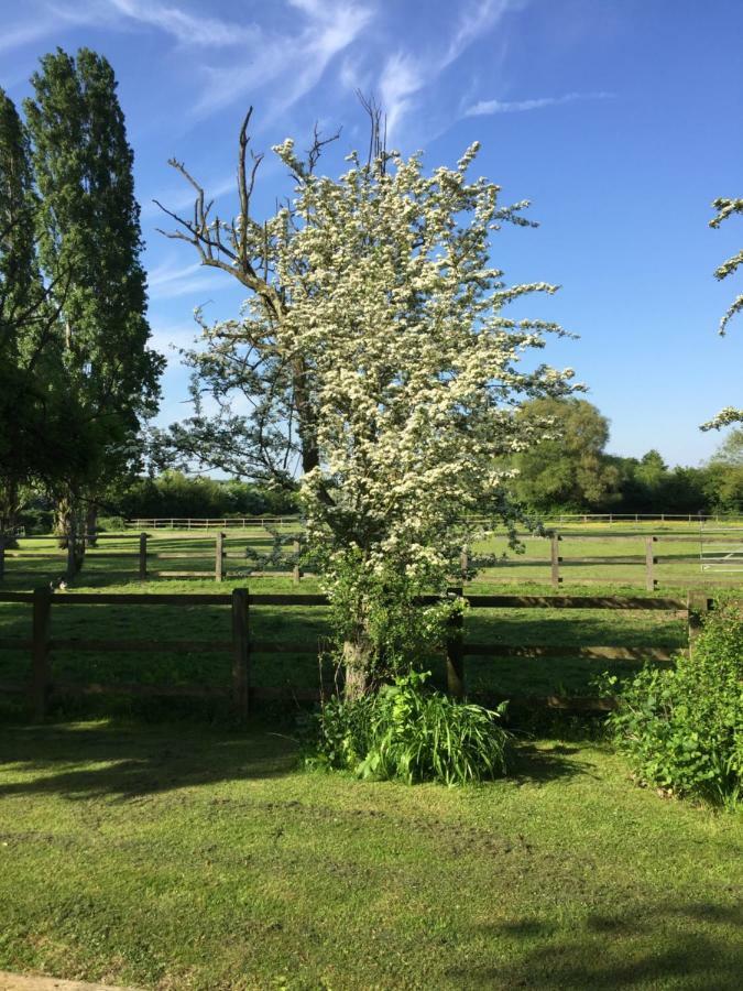 Bed and Breakfast Upper Wood End Farm Marston Moreteyne Exterior foto
